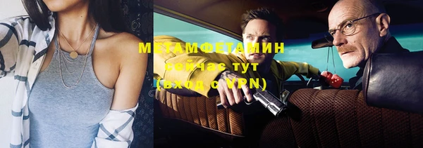 индика Вяземский