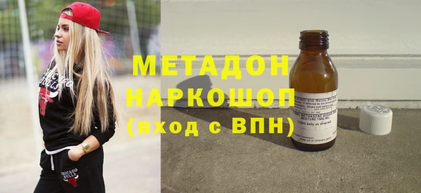 индика Вяземский