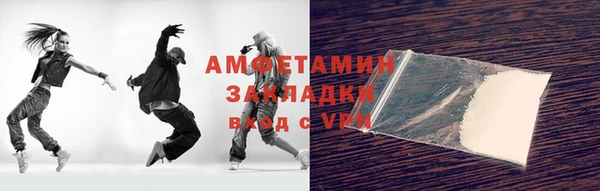 индика Вяземский