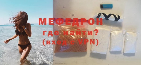 индика Вяземский
