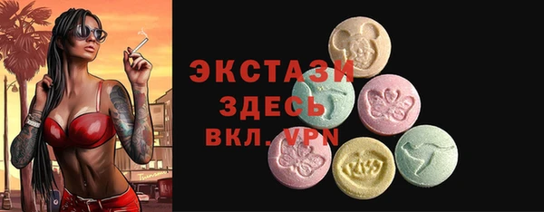 индика Вяземский