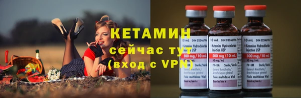крисы Вязьма