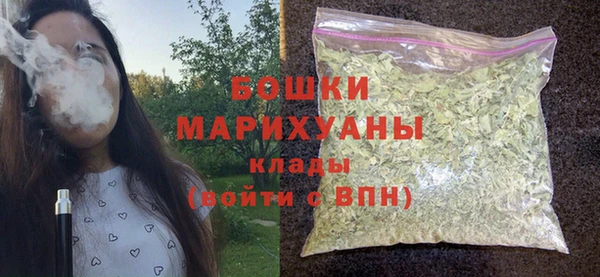 индика Вяземский