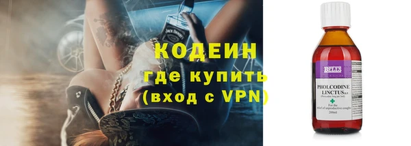 индика Вяземский