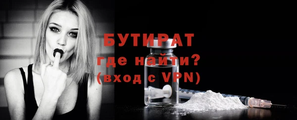 индика Вяземский