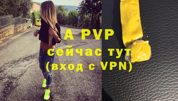 индика Вяземский