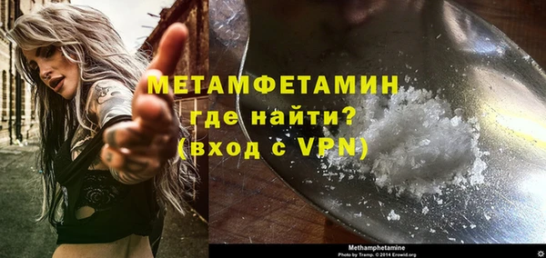 индика Вяземский