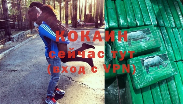 крисы Вязьма