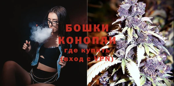 индика Вяземский