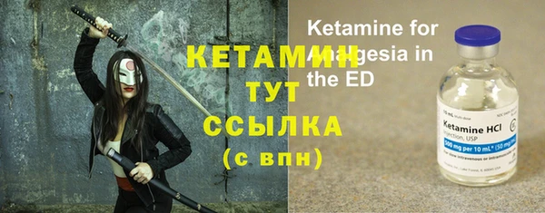 индика Вяземский