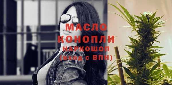 индика Вяземский