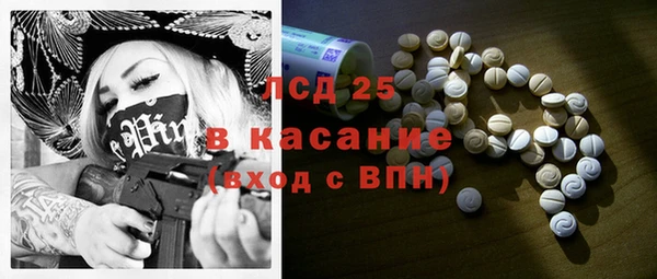 индика Вяземский