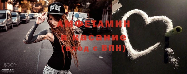 индика Вяземский