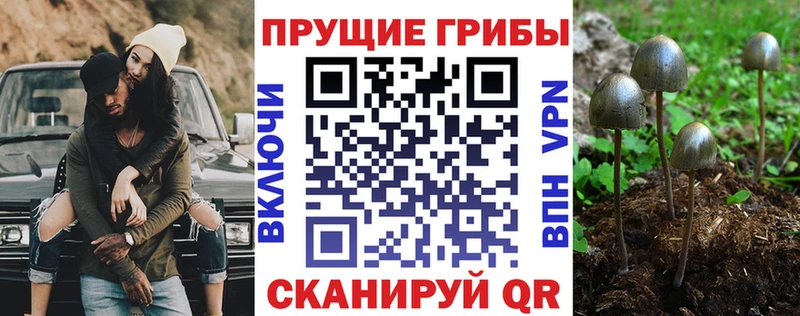 Купить  Кушва  Галлюциногенные грибы Magic Shrooms 